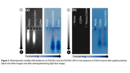 Photo2Fuel Preprint