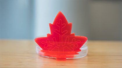 Red translucent leaf-shaped marker representing biorefinery and sustainable innovation